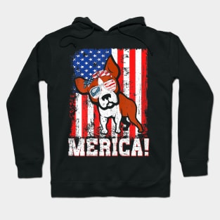 Merica Cool Boston Terrier Dog American Flag Hoodie